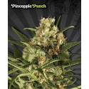 Auto Pineapple Punch