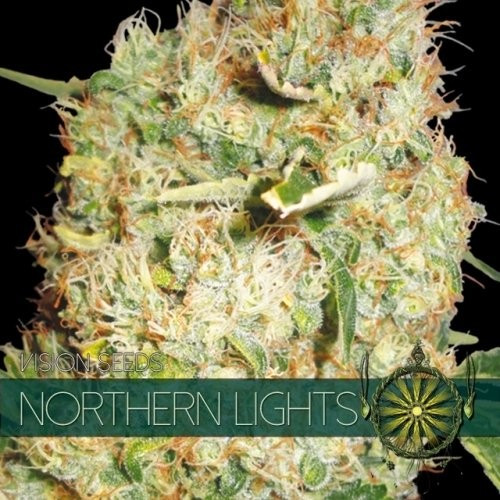Сорт семян конопли Northern Lights