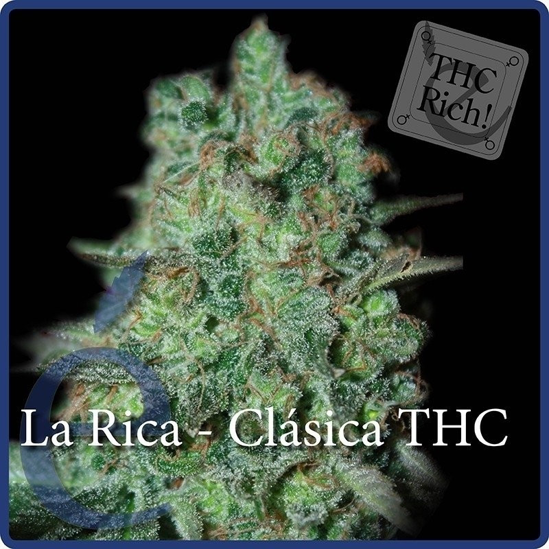 Семена конопли La Rica Classic THC