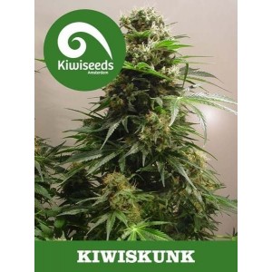 Семена конопли Kiwiskunk