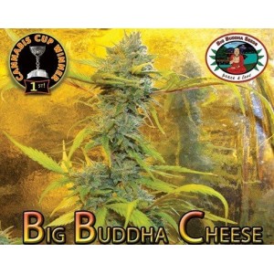 Семена конопли Big Buddha Cheese