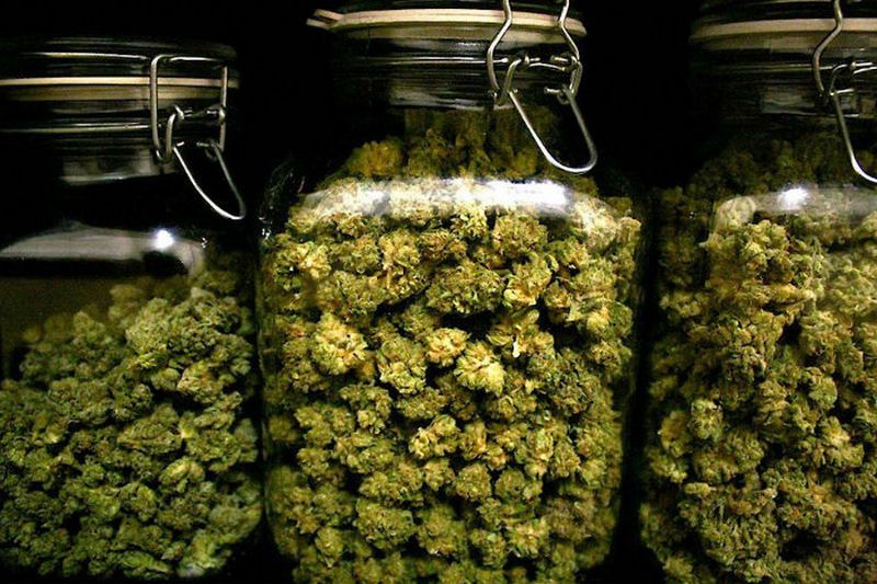 Как лучше всего выращивать марихуану где в анапе купить марихуану
